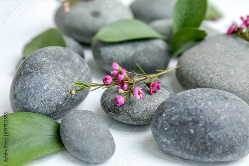 Spa stones and beautiful flowers on white background  closeup