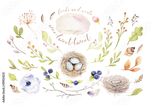 Hand drawing easter watercolor flying cartoon bird and eggs with leaves, branches and feathers. Watercolour spring art illustration in vintage boho style. Greeting bohemian card