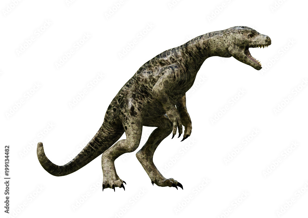 3D Rendering Dinosaur Tyrannosaurus Hatchling on White 3D Rendering Dinosaur Tyrannosaurus Hatchling on White