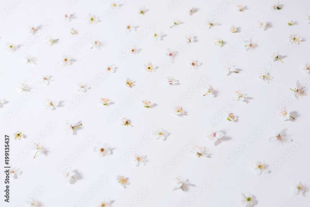 white flowers arranged on a white background like pattern white flowers arranged on a white background like pattern
