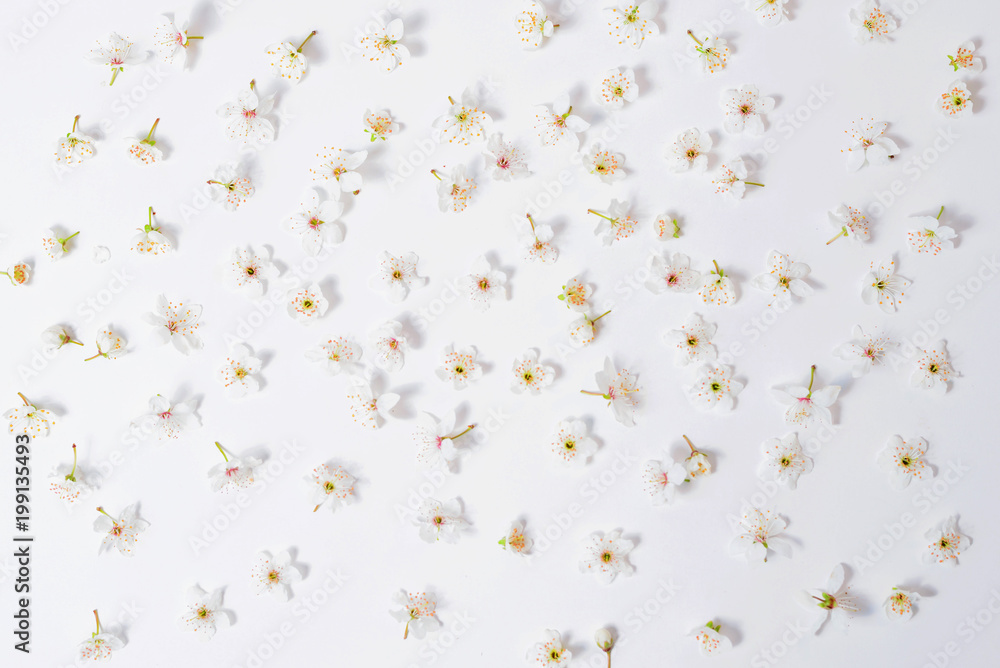 white flowers arranged on a white background like pattern - obrazy, fototapety, plakaty 