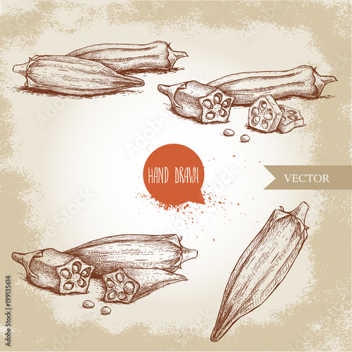 Hand drawn sketch style exotic vegetables okra set. Vector illustrations collection of eco healthy food. Whole and cut composition.