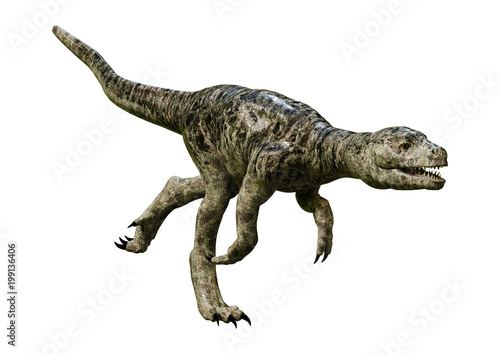 3D Rendering Dinosaur Tyrannosaurus Hatchling on White