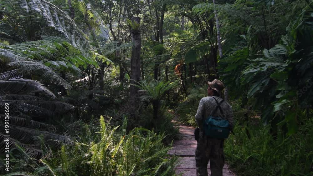 CHIANG MAI - APRIL 1, 2018 : The Traveler hiking to tropical rainforest at Inthanon national Park in Chiang Mai, Thailand. CHIANG MAI - APRIL 1, 2018 : The Traveler hiking to tropical rainforest at Inthanon national Park in Chiang Mai, Thailand.