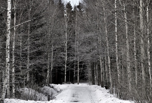 Winter of Finland