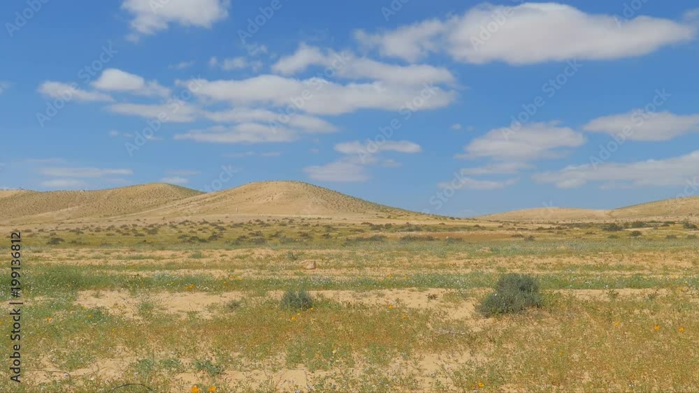 Slow zooming to hills in desert with flowers at spring Slow zooming to hills in desert with flowers at spring
