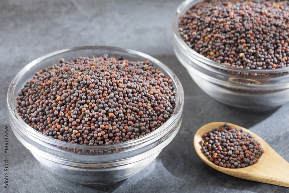 Mustard grains in the bowl - Brassica nigra Mustard grains in the bowl - Brassica nigra