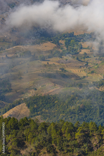 mountain field, nature loca...