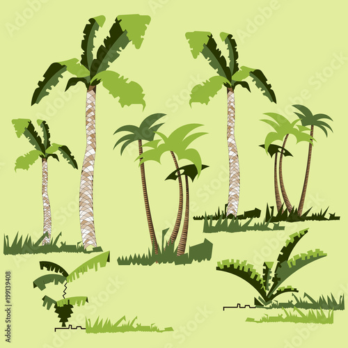 Rainforest jungle trees  plants  shrubs and bushes  crooked palm trees  grass. Trendy vector flat design.