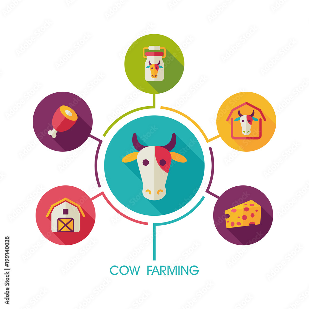 Fototapeta premium Cow farming icon and agriculture infographics