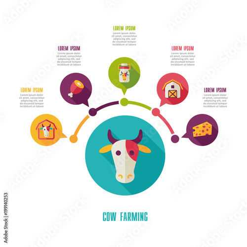 Cow farming icon and agriculture infographics