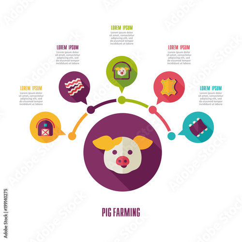Pig farming icon and agriculture infographics