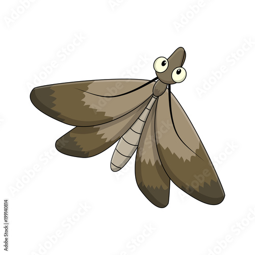 Cartoon moth insect isolated on white background