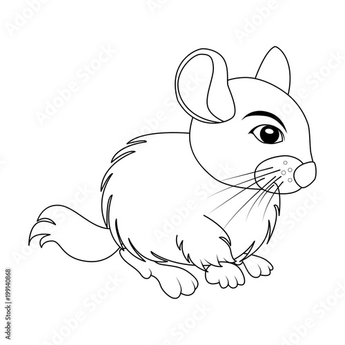 Cartoon chinchilla outline rodent isolated on white background