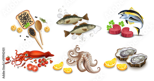 Tuna fish, caviar, squid, oysters and octopus seafood set. Vector realistic detailed illustrations