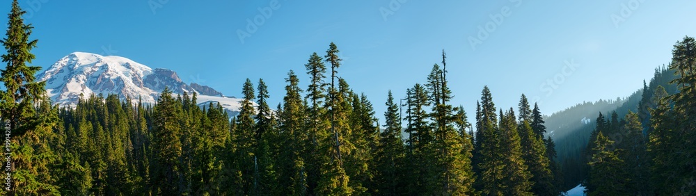 Forest and Mount Rainier at Mount Rainier National Park, Washington State, USA