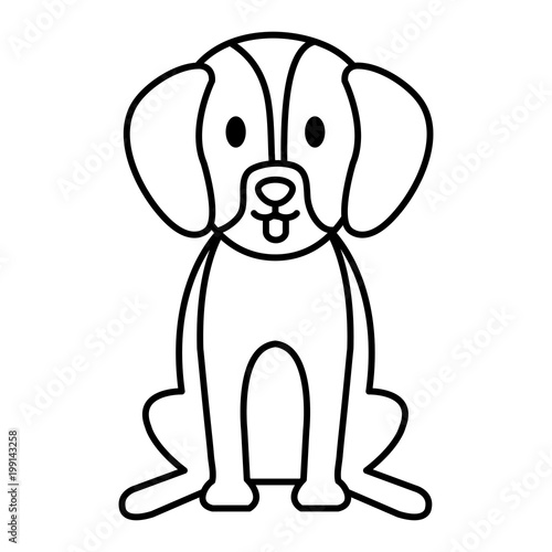 dog bred pet friendly vector illustration design
