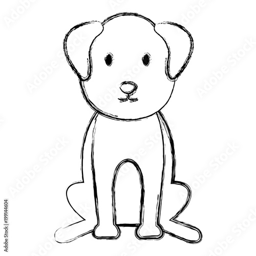 dog bred pet friendly vector illustration design