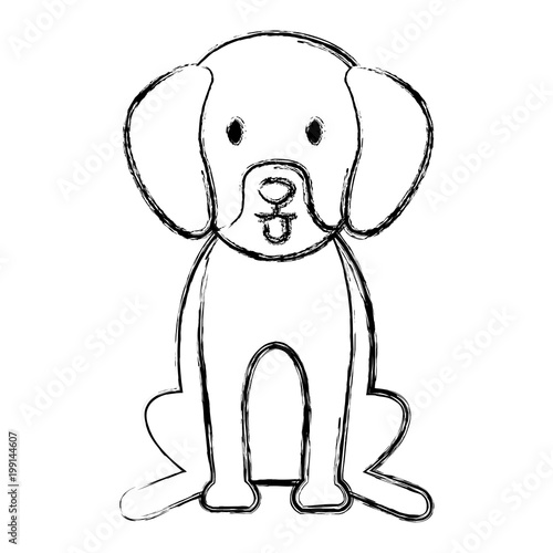 dog bred pet friendly vector illustration design