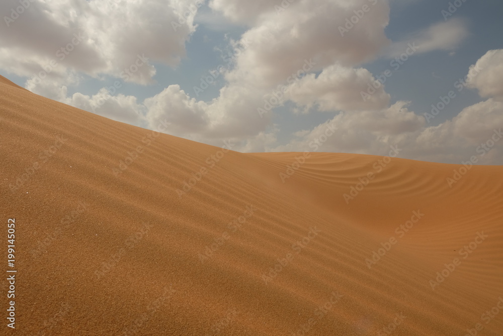 Naklejka premium sharqiya sands