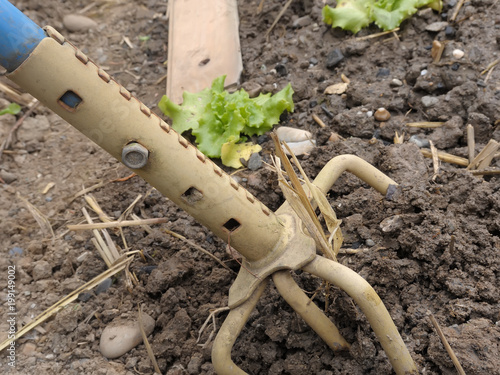 Sortez vos outils de jardin, c'est la saison ! photo