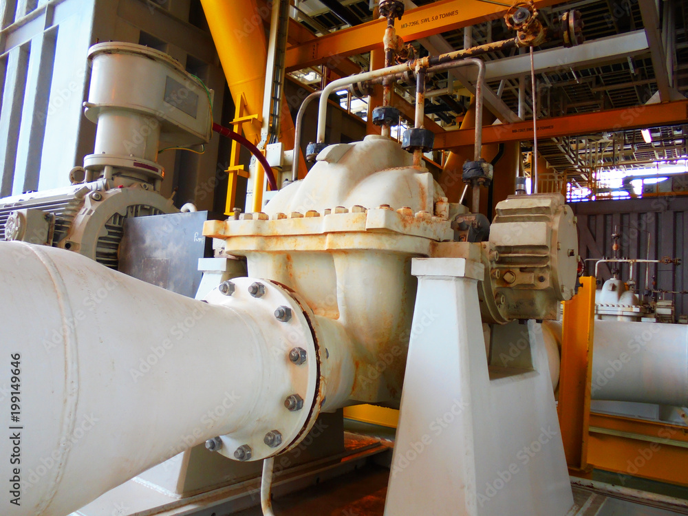 The centrifugal pump install on process cooling medium and heat