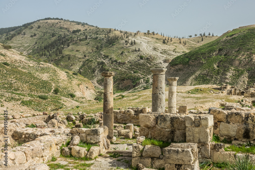Pella ruins columns near the mountains