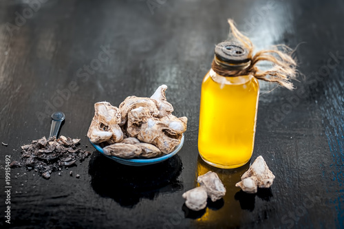 Dried ginger or soth or Zingiber officinale with nutmeg powder and its extracted oil for good digestion and medicine for headache. photo