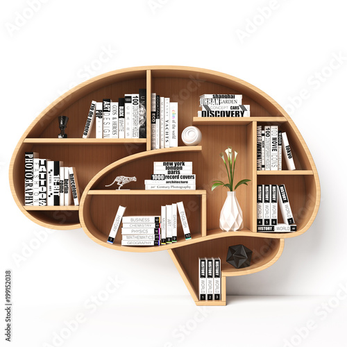 Bookshelves in the shape of human brain, intelligence book shelf concept 3d rendering 
