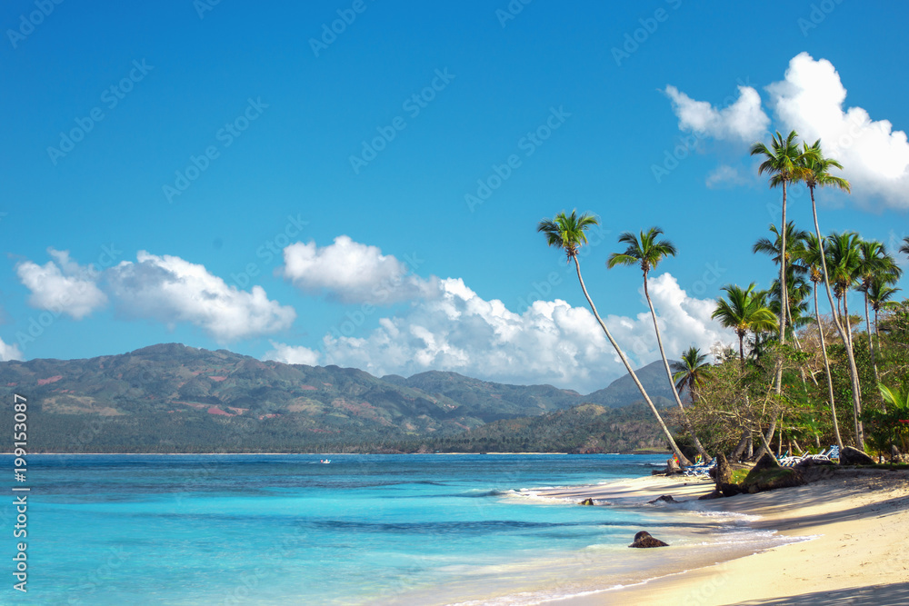 Naklejka premium empty beautiful Caribbean beach with white sand and high palm trees