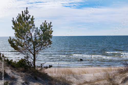 Palanga Baltic coast beach in winter