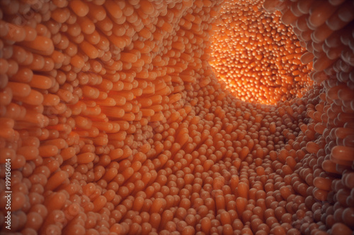 Tableau sur toile 3D illustration close-up Intestinal villi