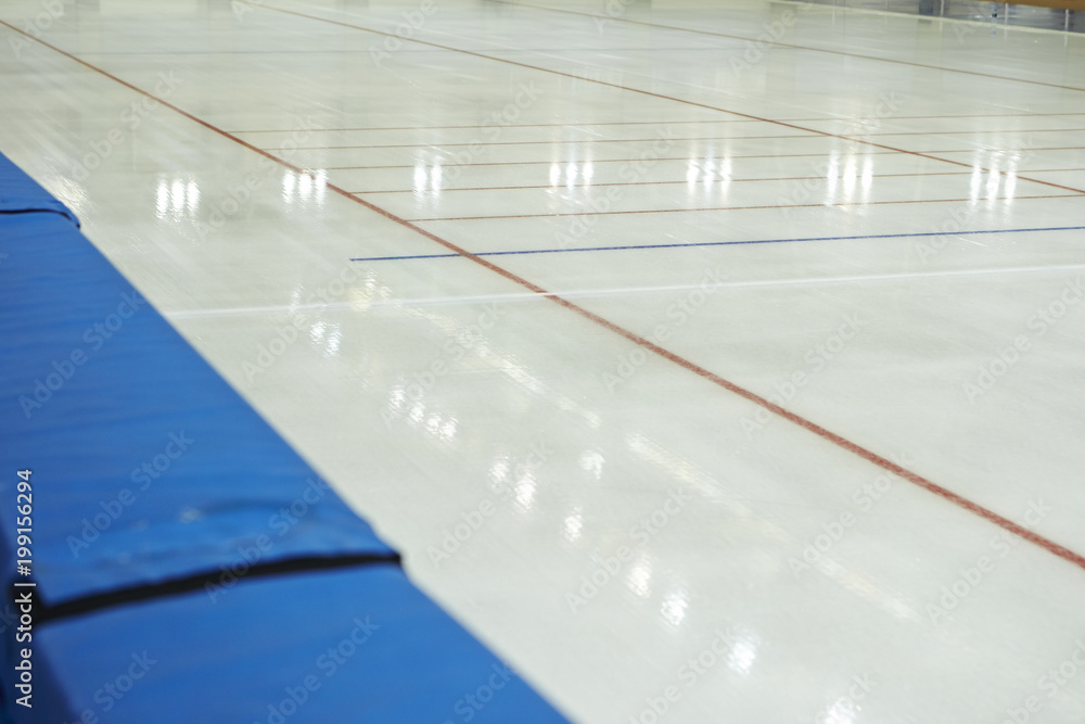 Fototapeta premium Ice rink