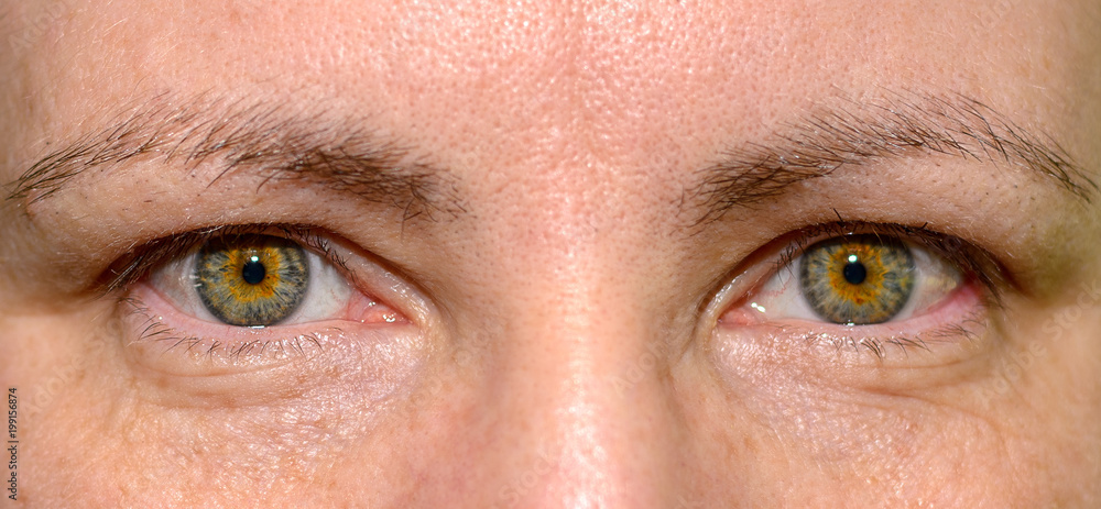 Fototapeta premium Green eyes of a young woman in a close up view