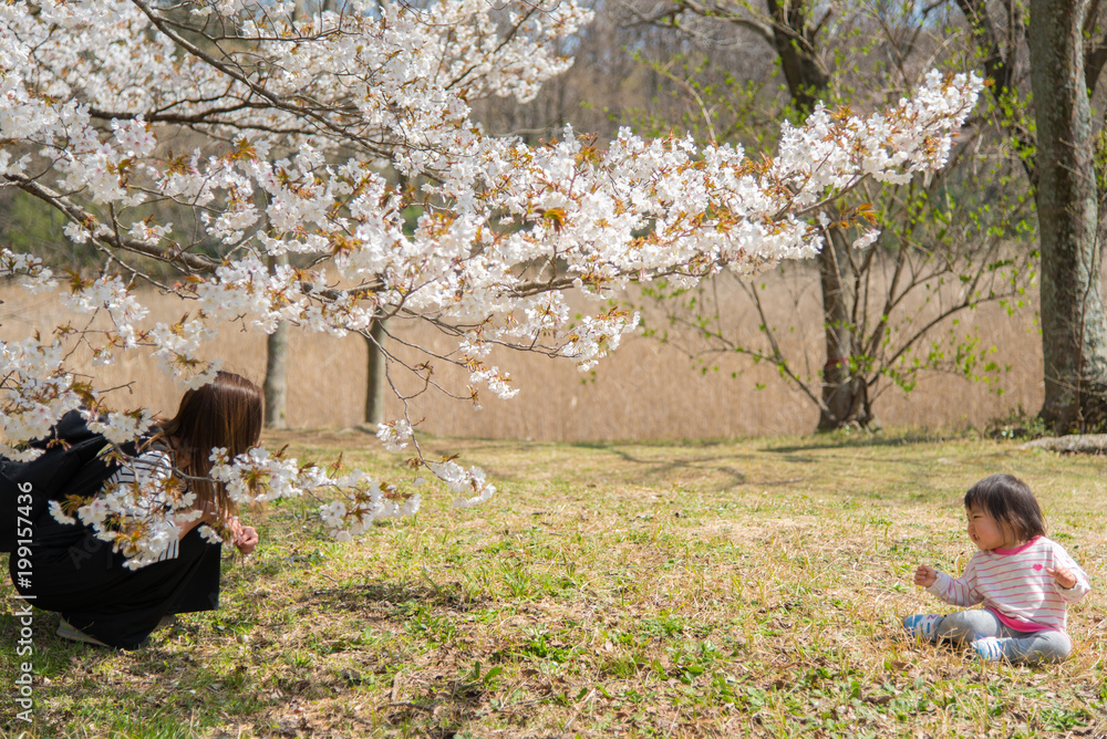 ・桜・親子・二人 ・桜・親子・二人