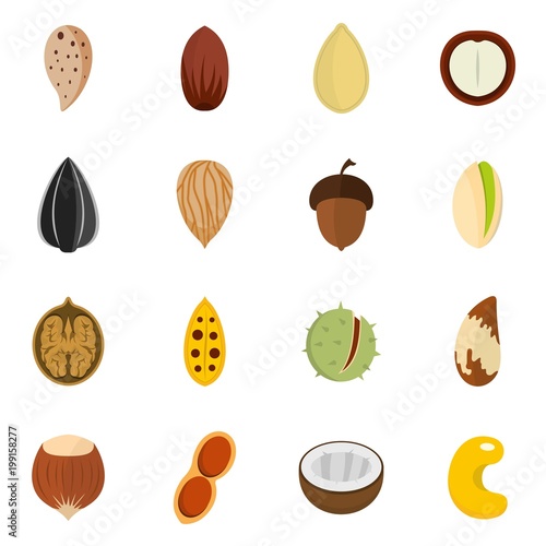 Nuts icons set vector flat