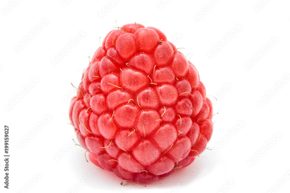 Close up of ripe red raspberry isolated on white background. Close up of ripe red raspberry isolated on white background.