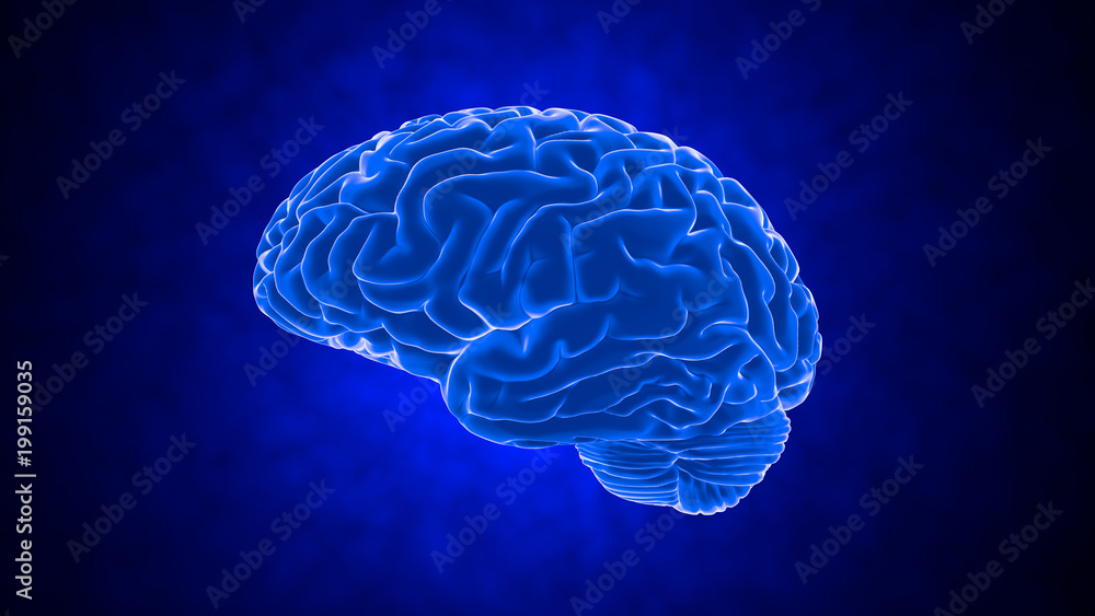 Human brain 3D render Human brain 3D render
