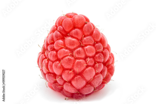 Close up of ripe red raspberry isolated on white background.