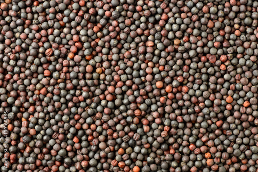 food background of canola seeds, top view food background of canola seeds, top view