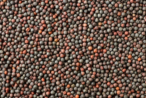 food background of canola seeds, top view