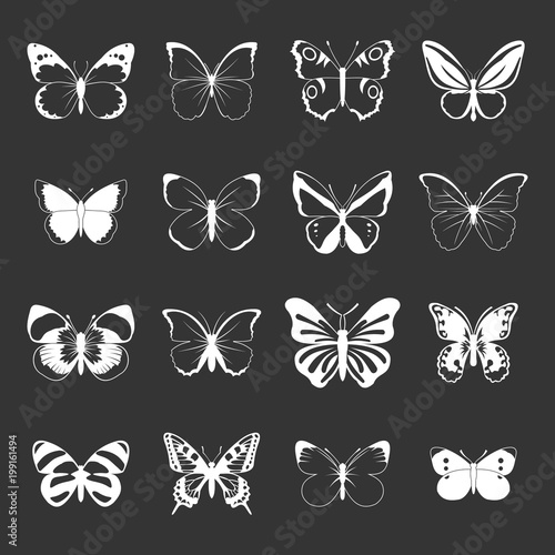 Butterfly set grey vector