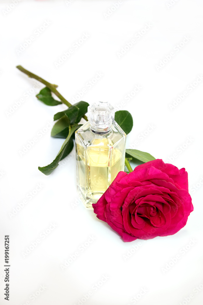 cosmetics with perfume, phone on a white background with copy space cosmetics with perfume, phone on a white background with copy space