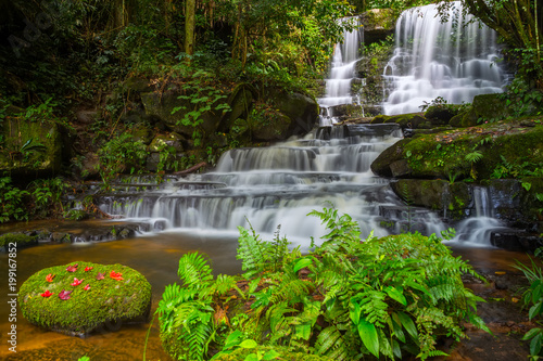 Fototapeta Naklejka Na Ścianę i Meble -  Mun daeng Waterfall, the beautiful waterfall in deep forest at Phu Hin Rong Kla National Park ,Phitsanulok, Thailand