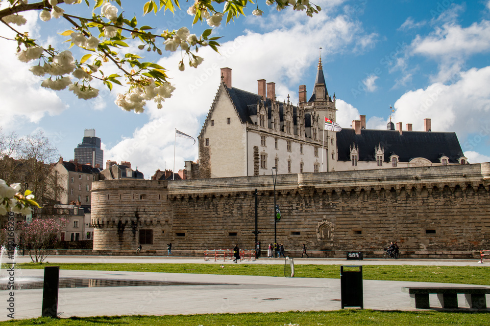 Fototapeta premium Chateau des Ducs de Bretagne Nantes, France