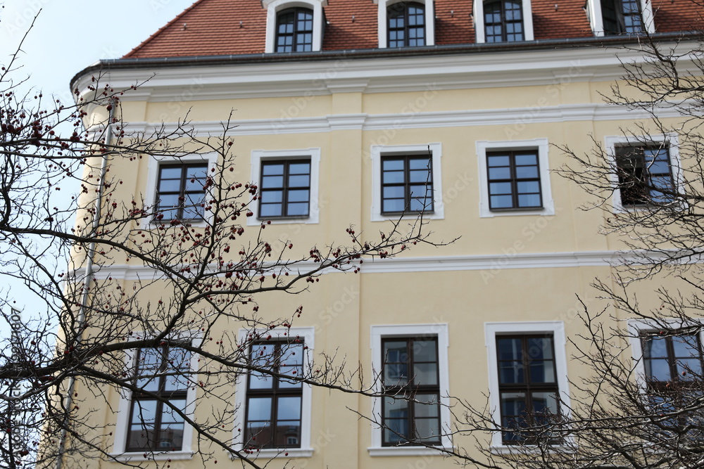 Fototapeta premium gelbes haus mit baumgeäst