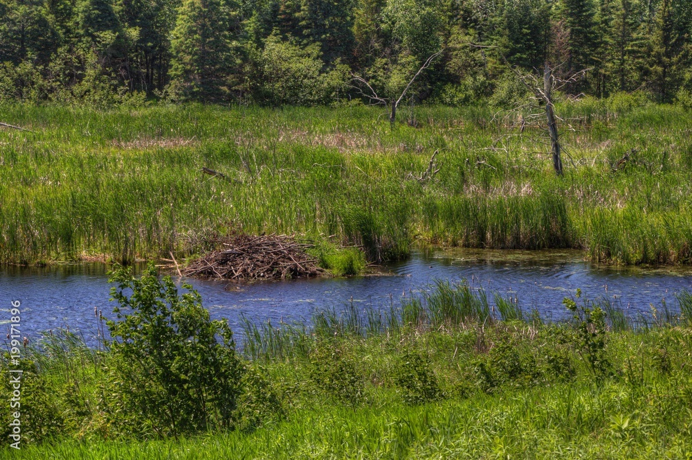 Moose Lake State Park, Minnesota Moose Lake State Park, Minnesota