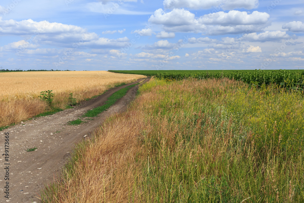 Dirt road through the fields Dirt road through the fields