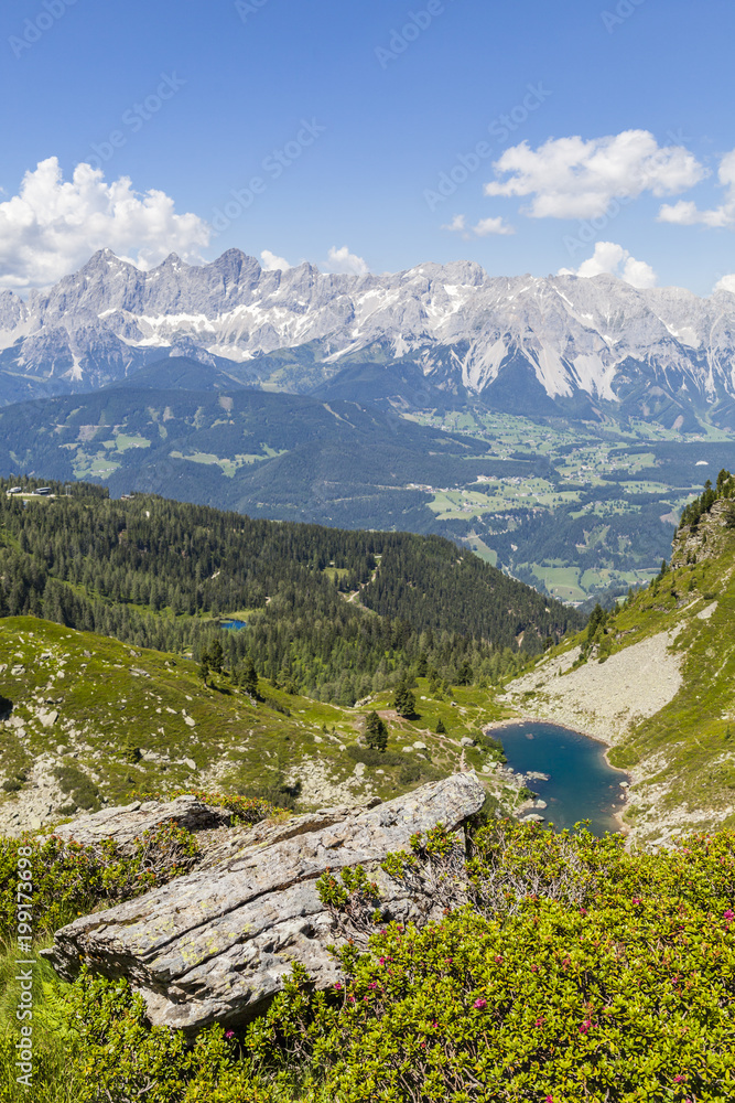 View from mountain with Alpenrose to lake and mountain Dachstein