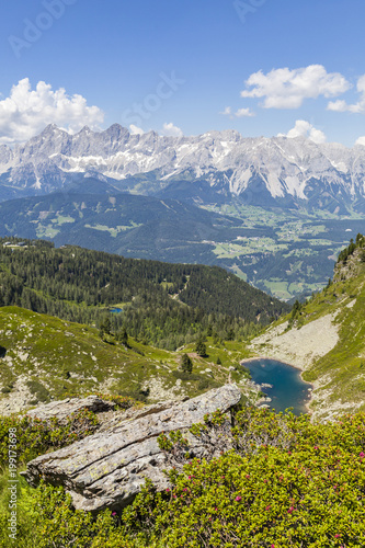 View from mountain with Alpenrose to lake and mountain Dachstein © photoflorenzo
